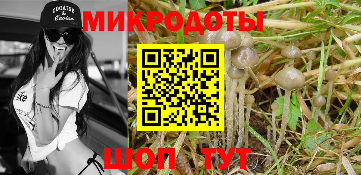 Вышний Волочёк  Галлюциногенные грибы Cubensis  Галлюциногенные грибы MAGIC MUSHROOMS  Вход с VPN 