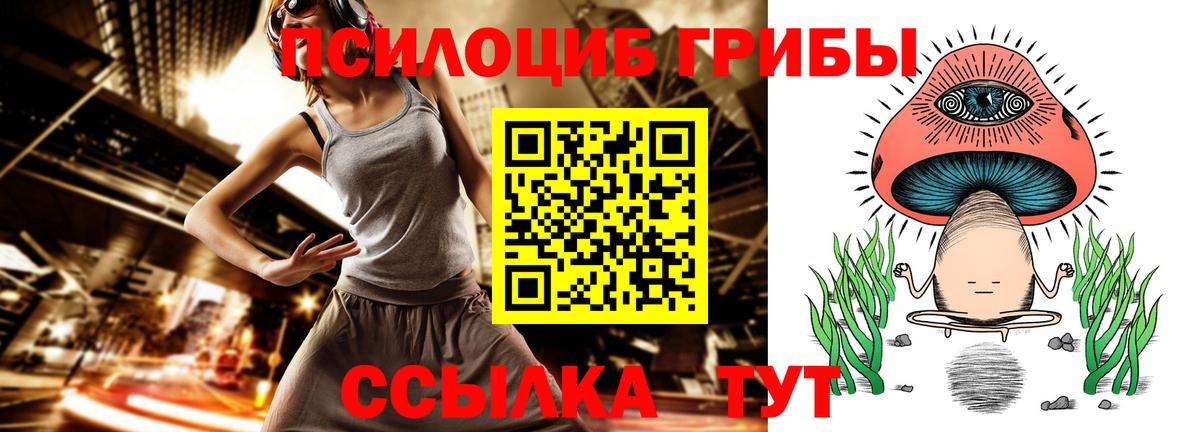Галлюциногенные грибы GOLDEN TEACHER Вышний Волочёк