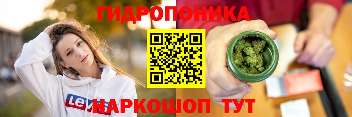 Канабис Bruce Banner Вышний Волочёк